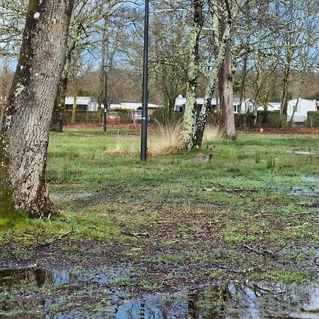 Mobil Parque de Campismo *